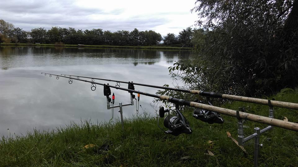 2015 - 1211886210414896592171864121332616801478923n.jpg